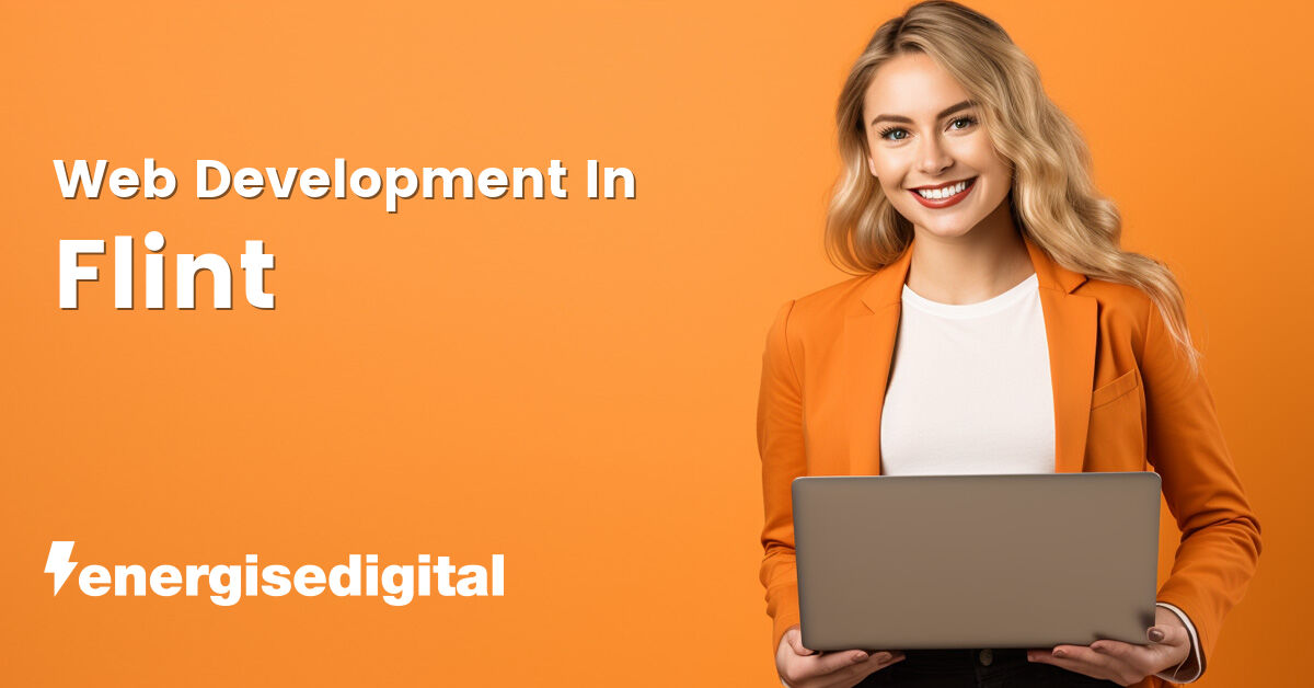 Web development in Flint, Flintshire